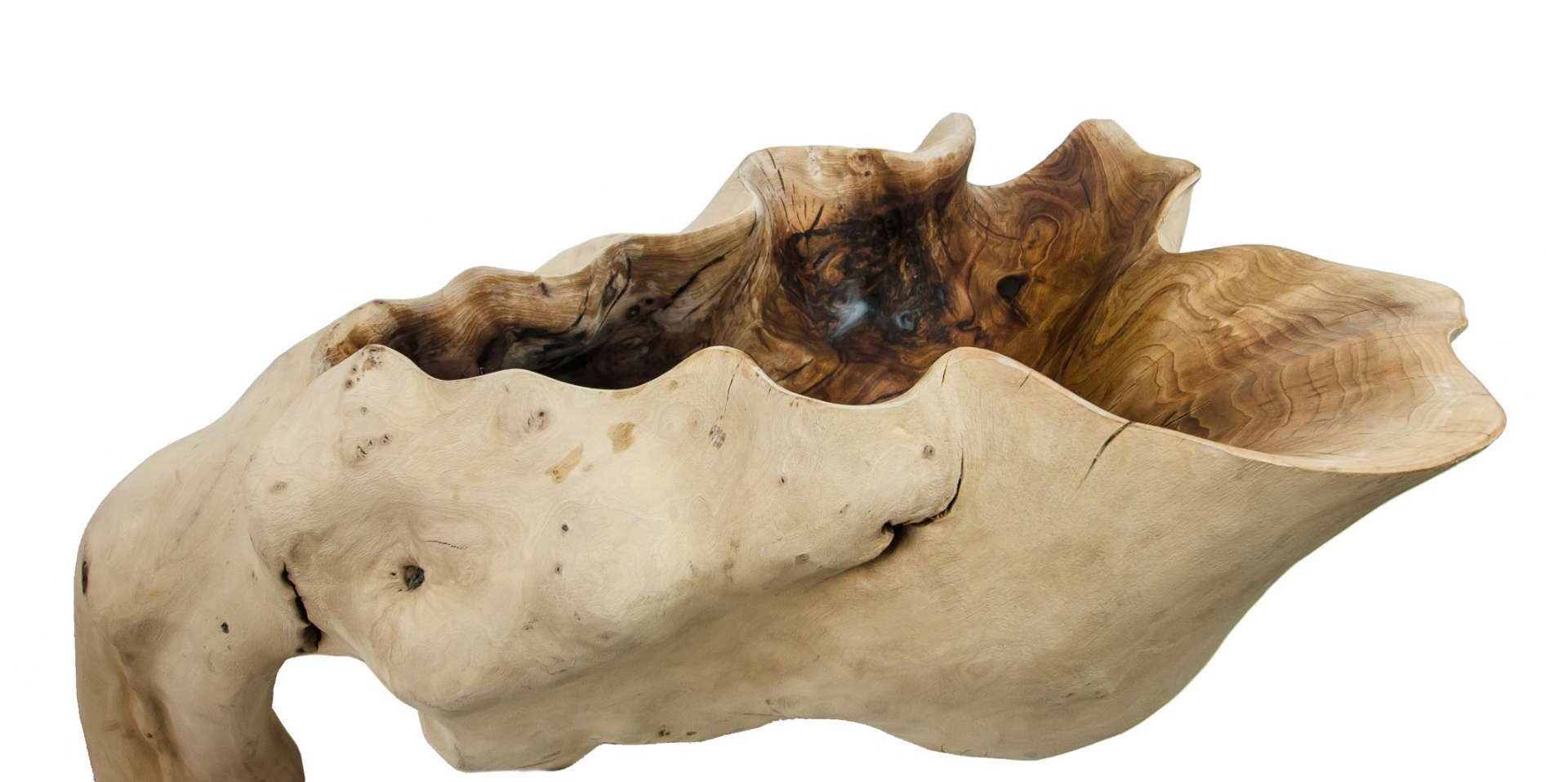 Logotowood - Shell tree sink1