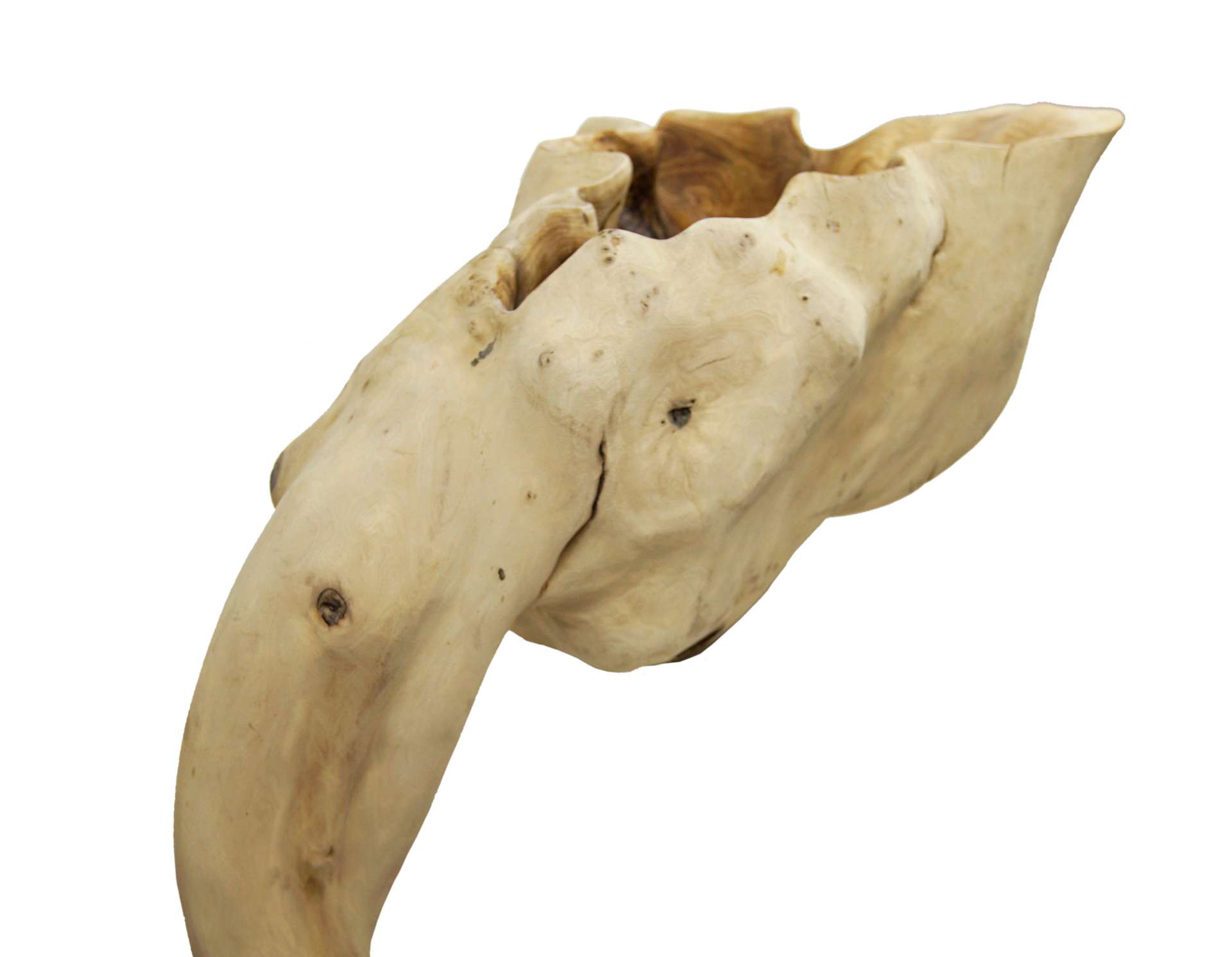 Logotowood - Shell tree sink2