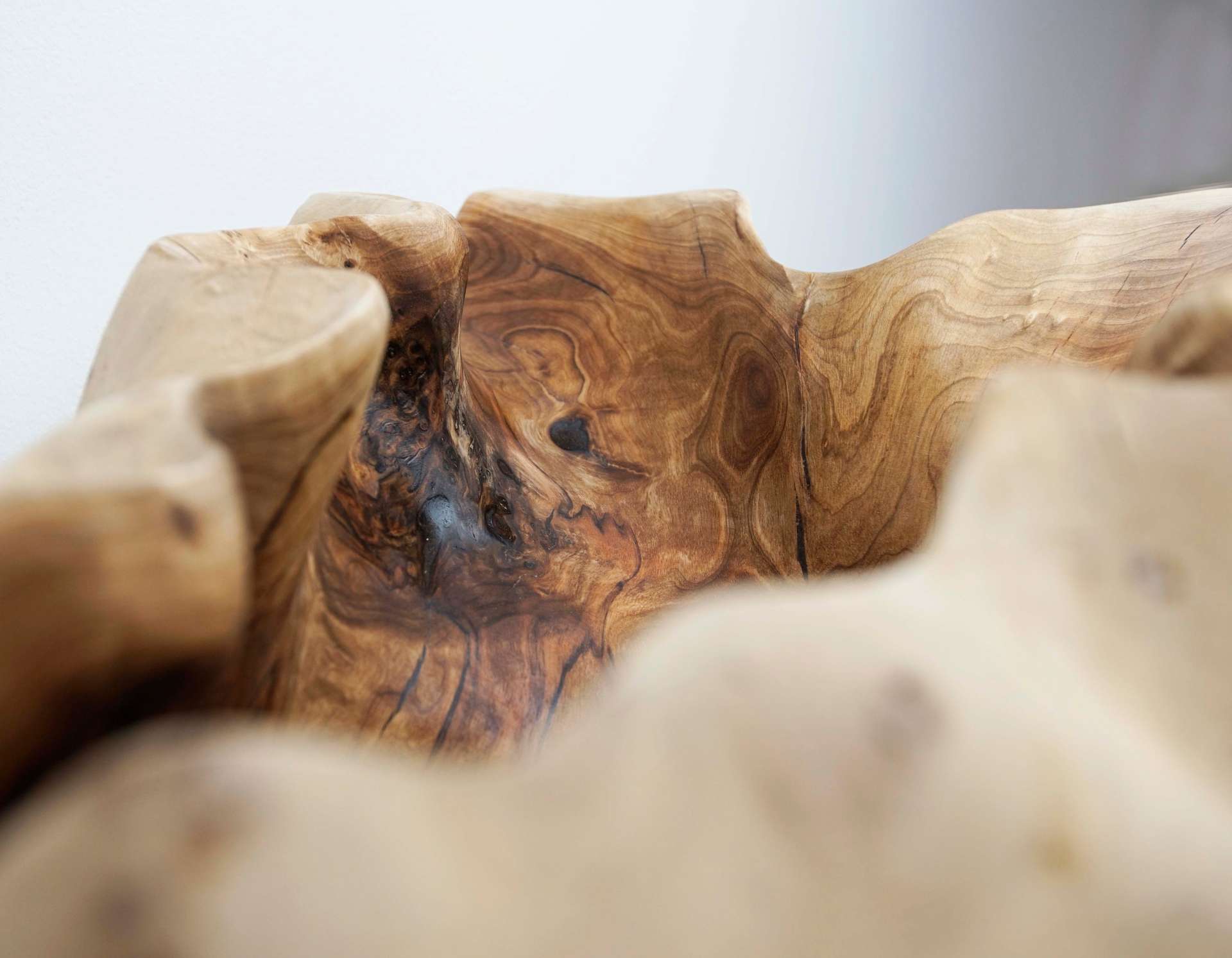 Logotowood - Shell tree sink4