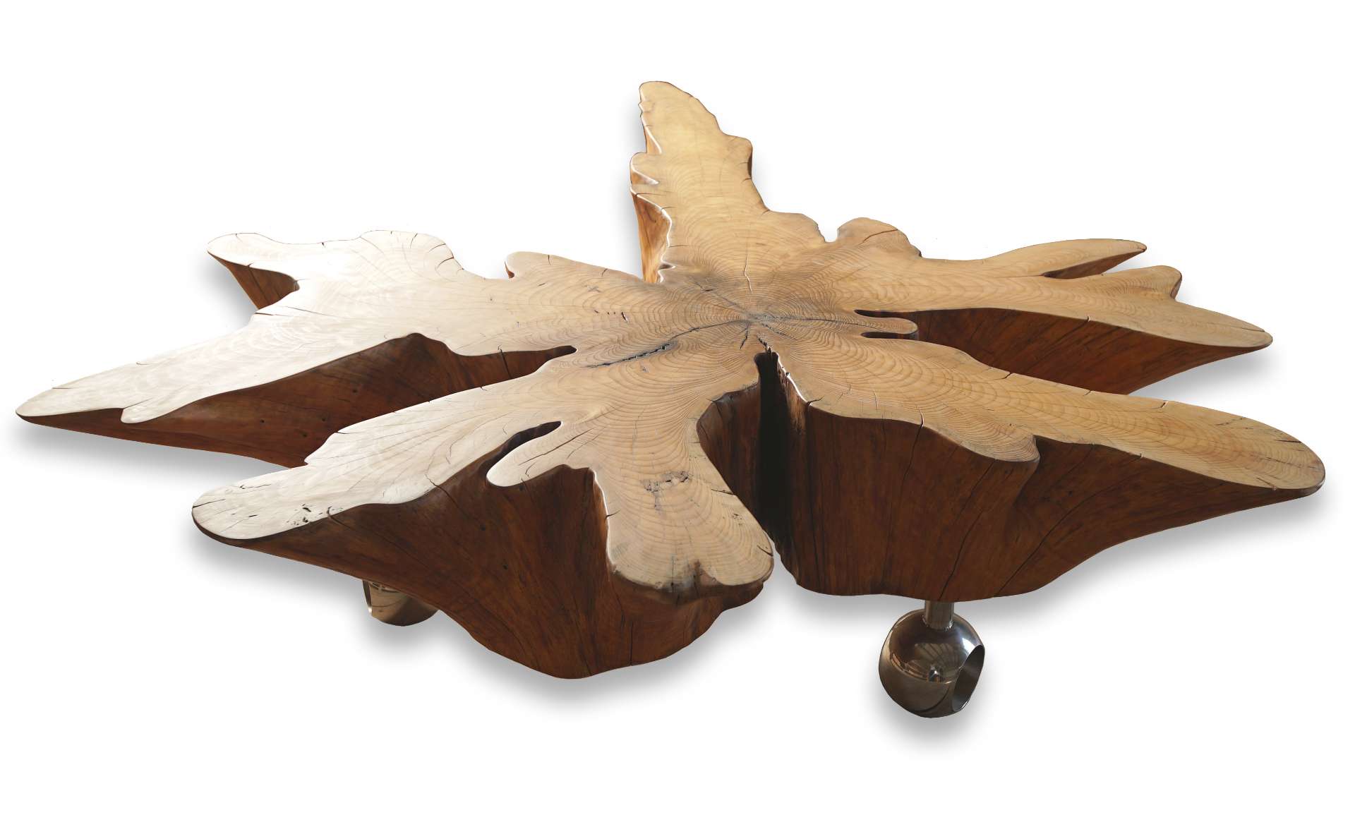 Logotowood - Special star table2